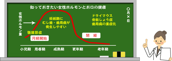 ライフステージとお口の環境変化